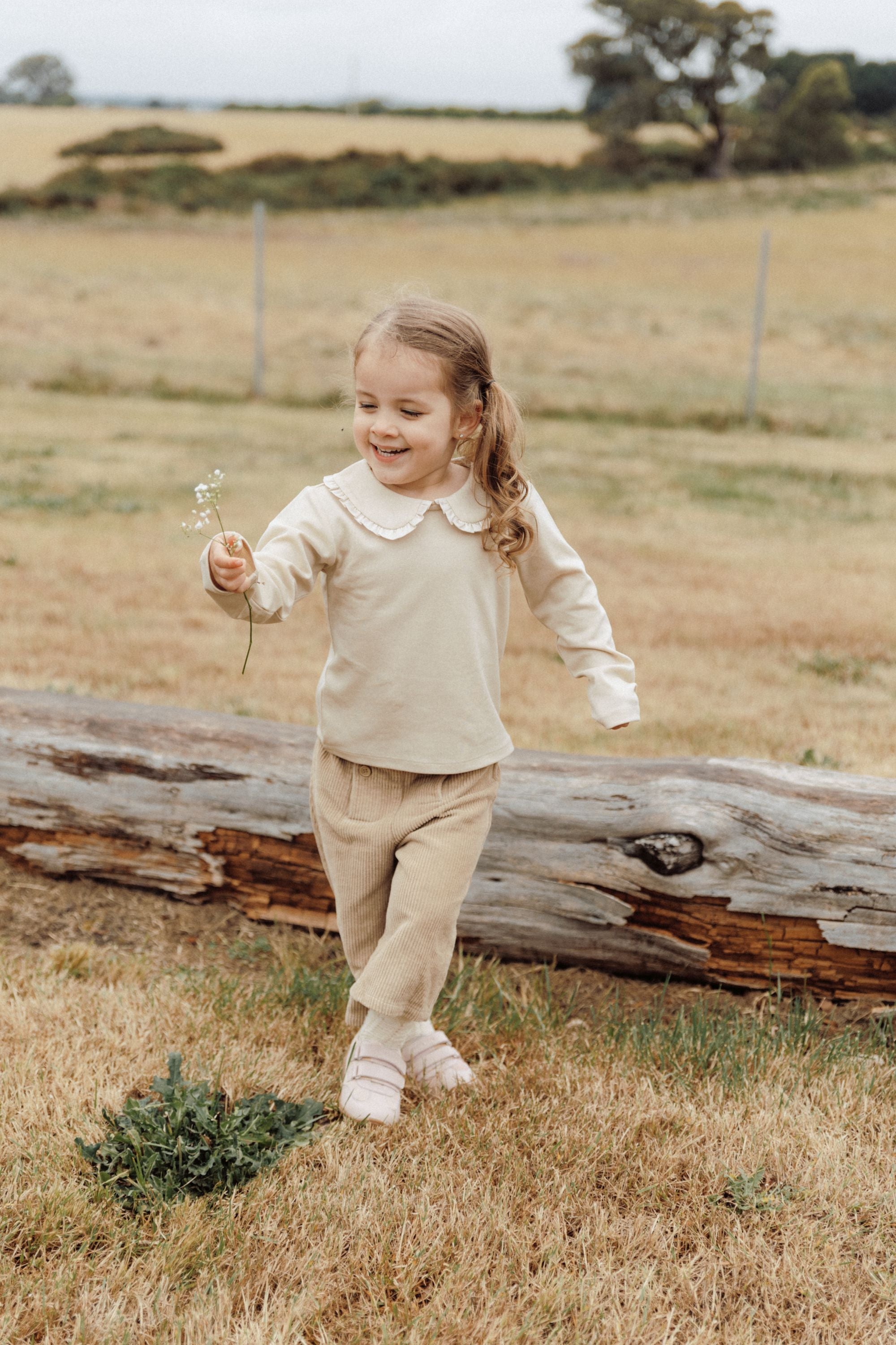 Lace Collar T-shirt - Milk Tea