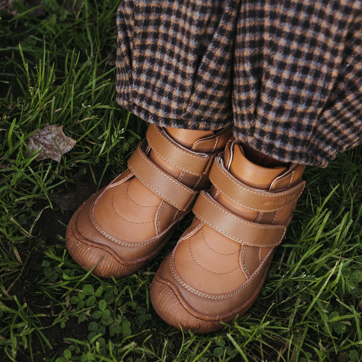 Pine - Latte Brown - 11.jpg