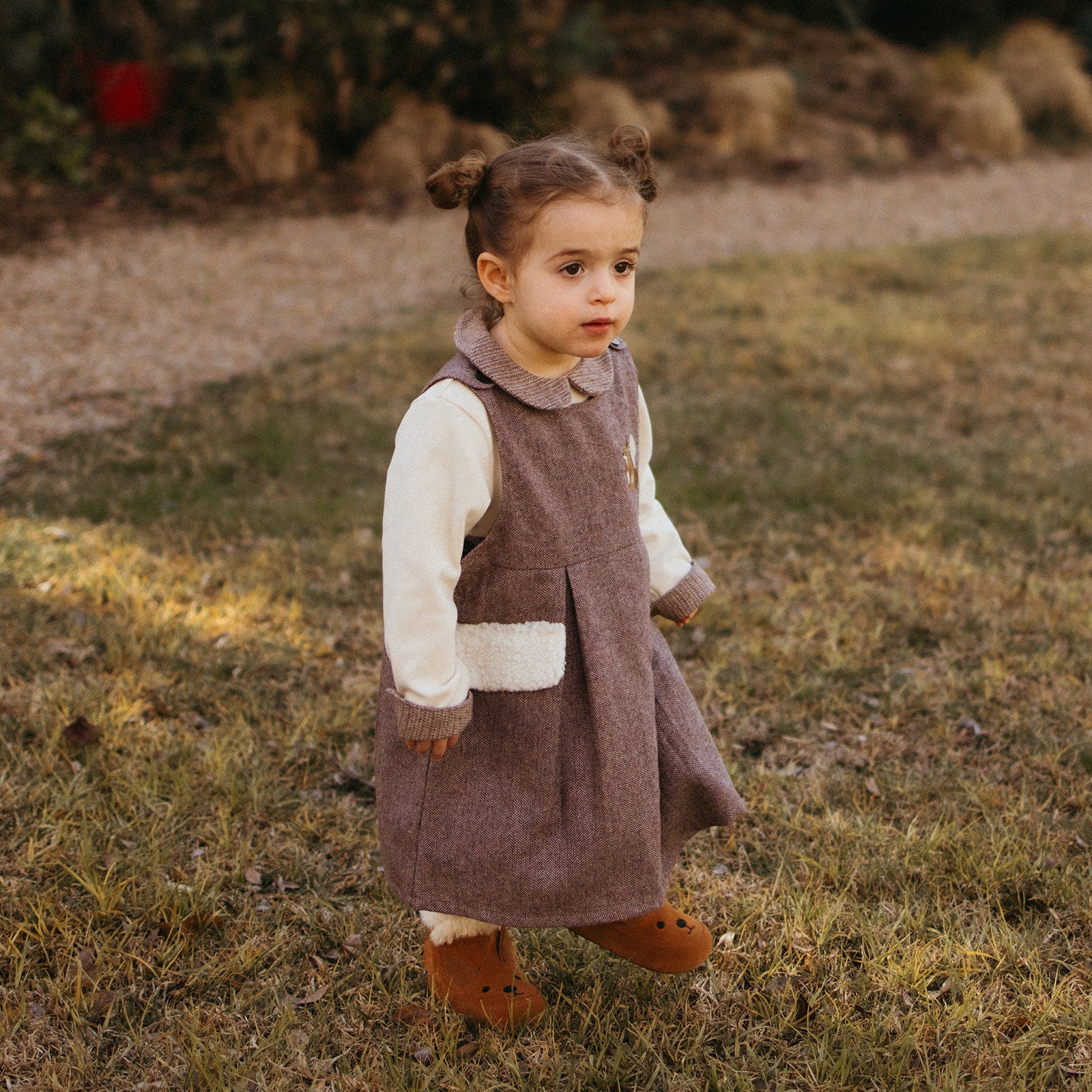 Animal Encounters - Kangaroo Brown