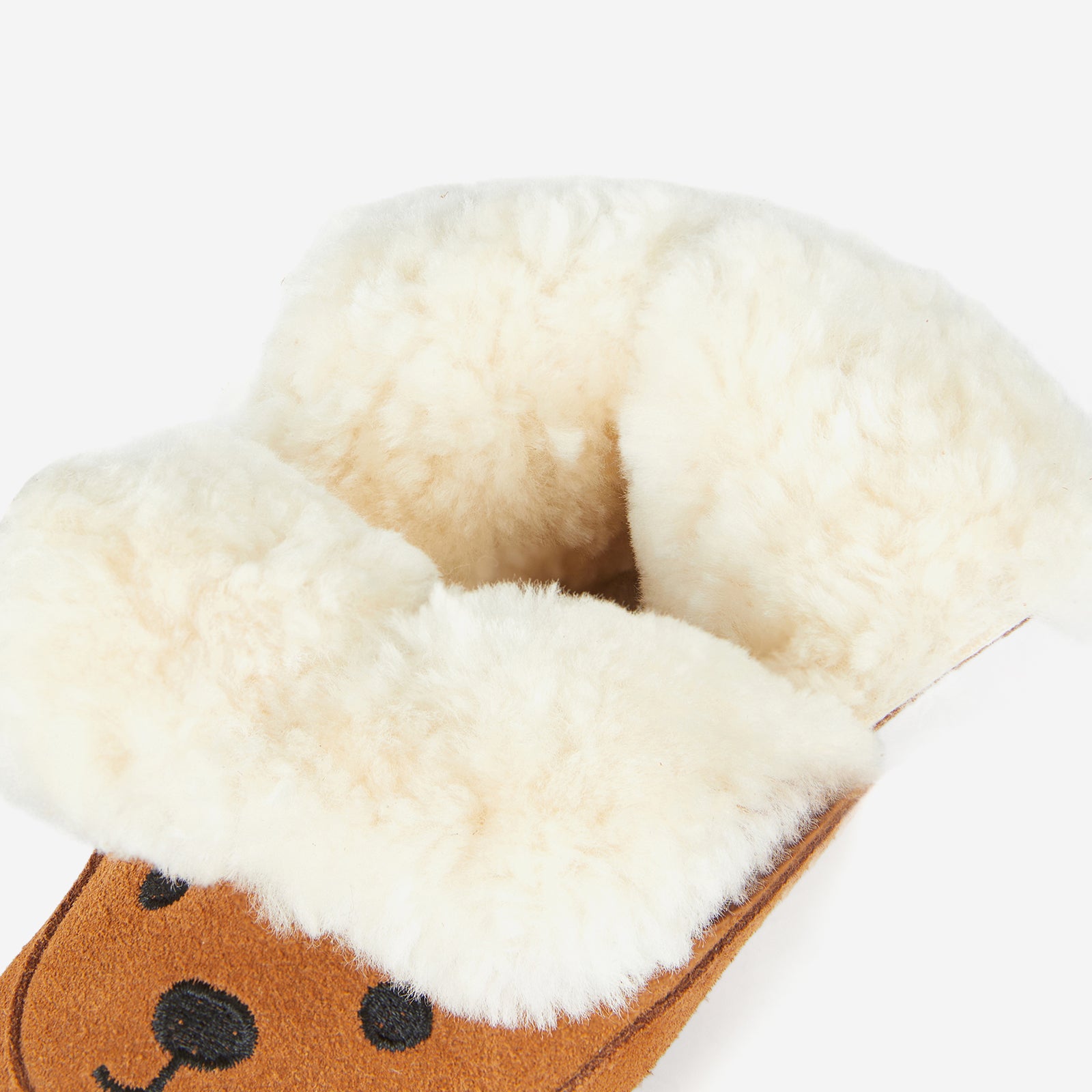 Animal Encounters - Kangaroo Brown