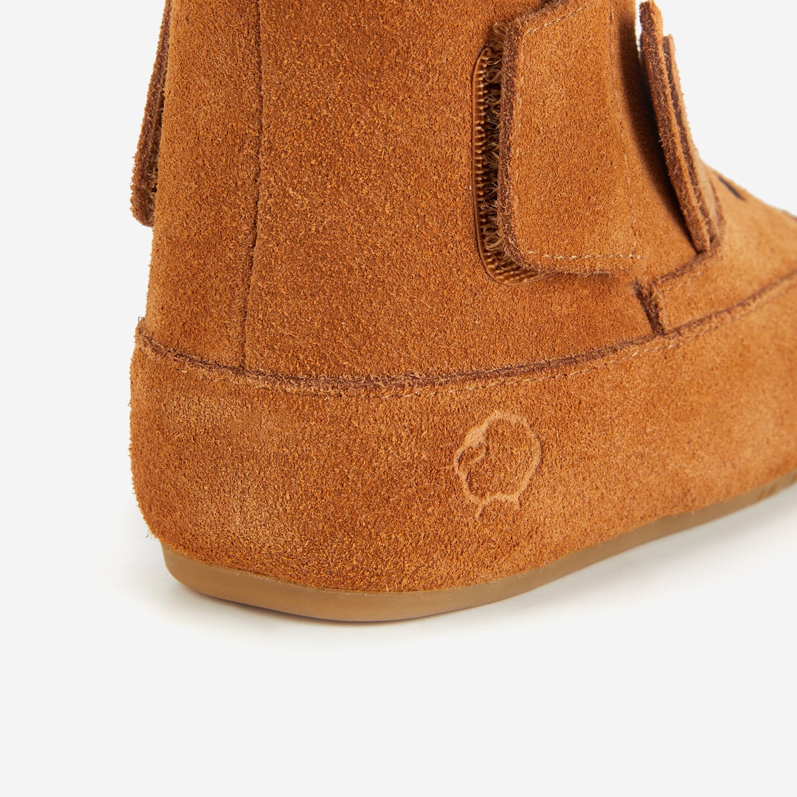 Animal Encounters - Kangaroo Brown