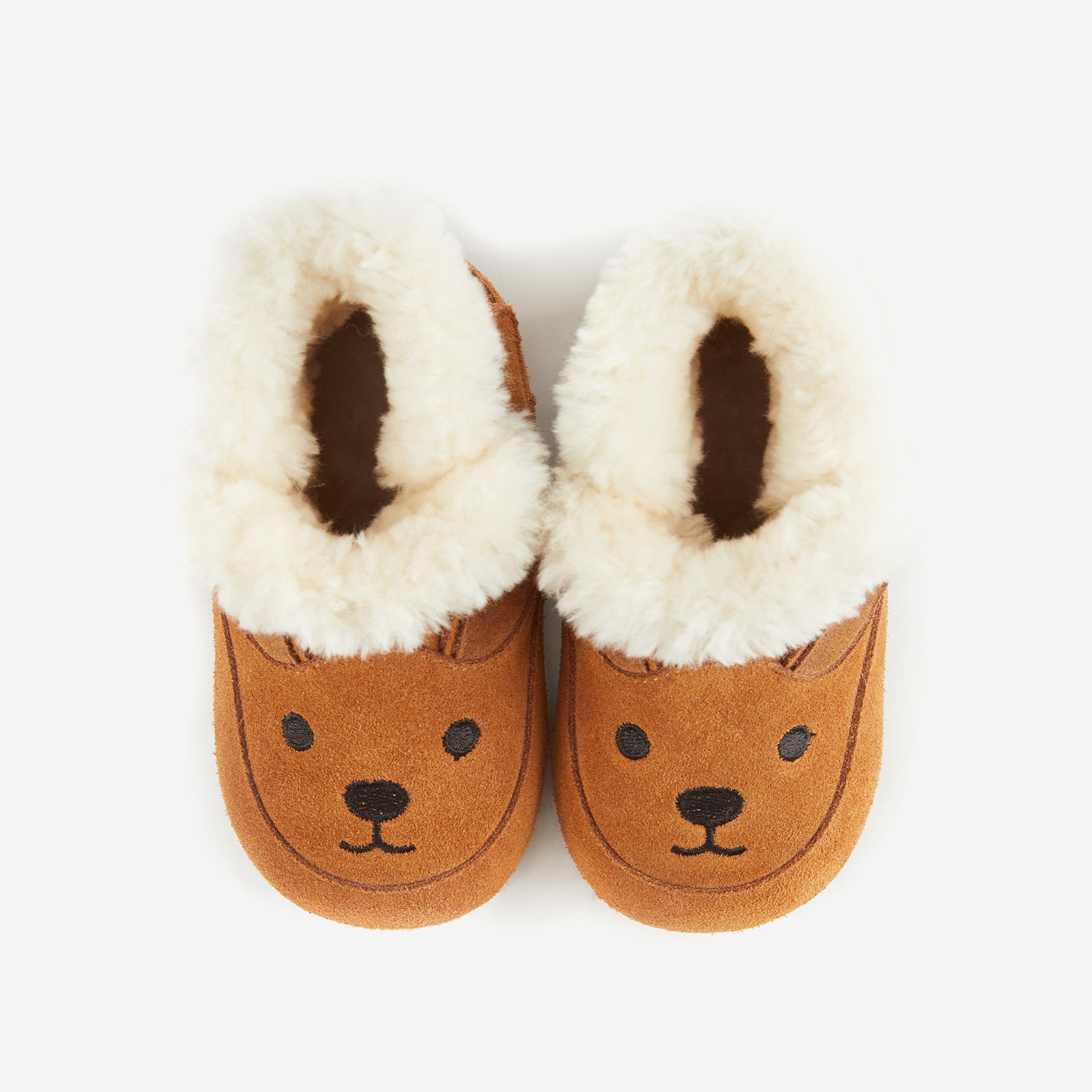 Animal Encounters - Kangaroo Brown