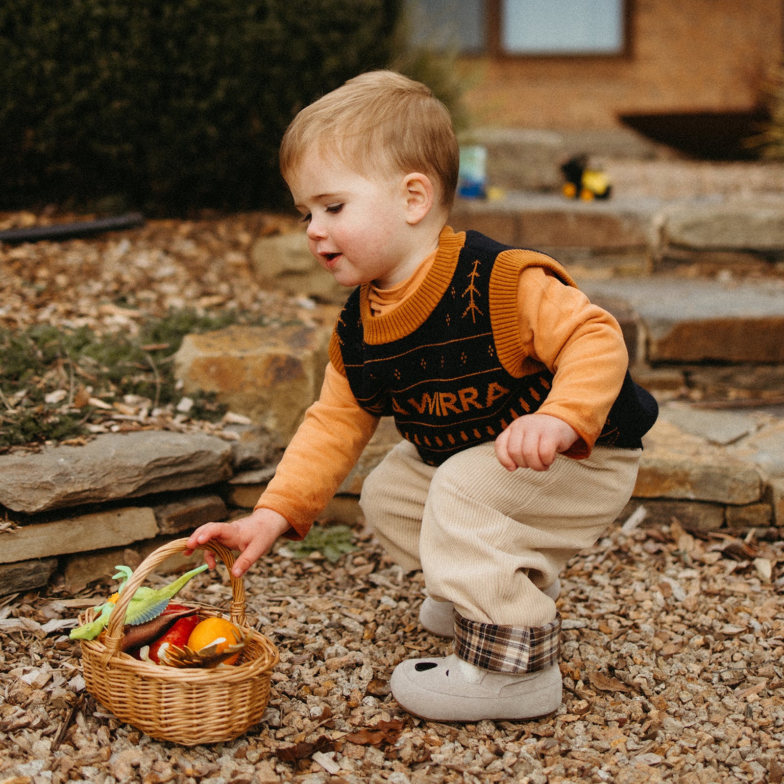 Animal Encounters - Koala Grey