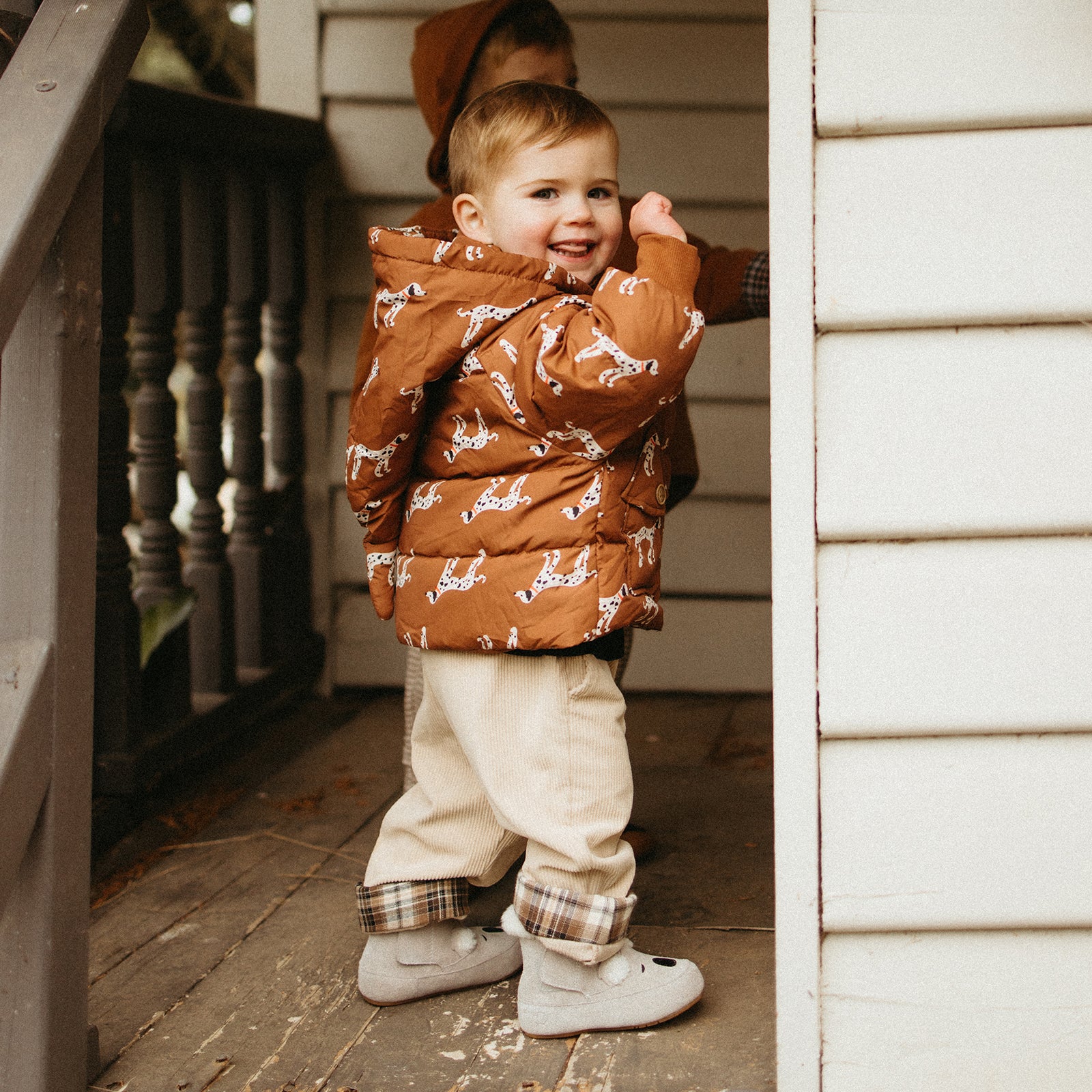 Animal Encounters - Koala Grey