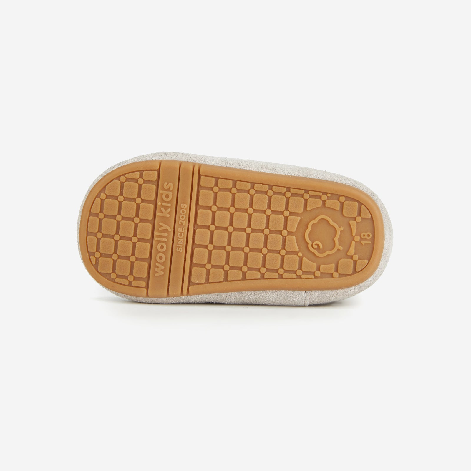 Animal Encounters - Koala Grey