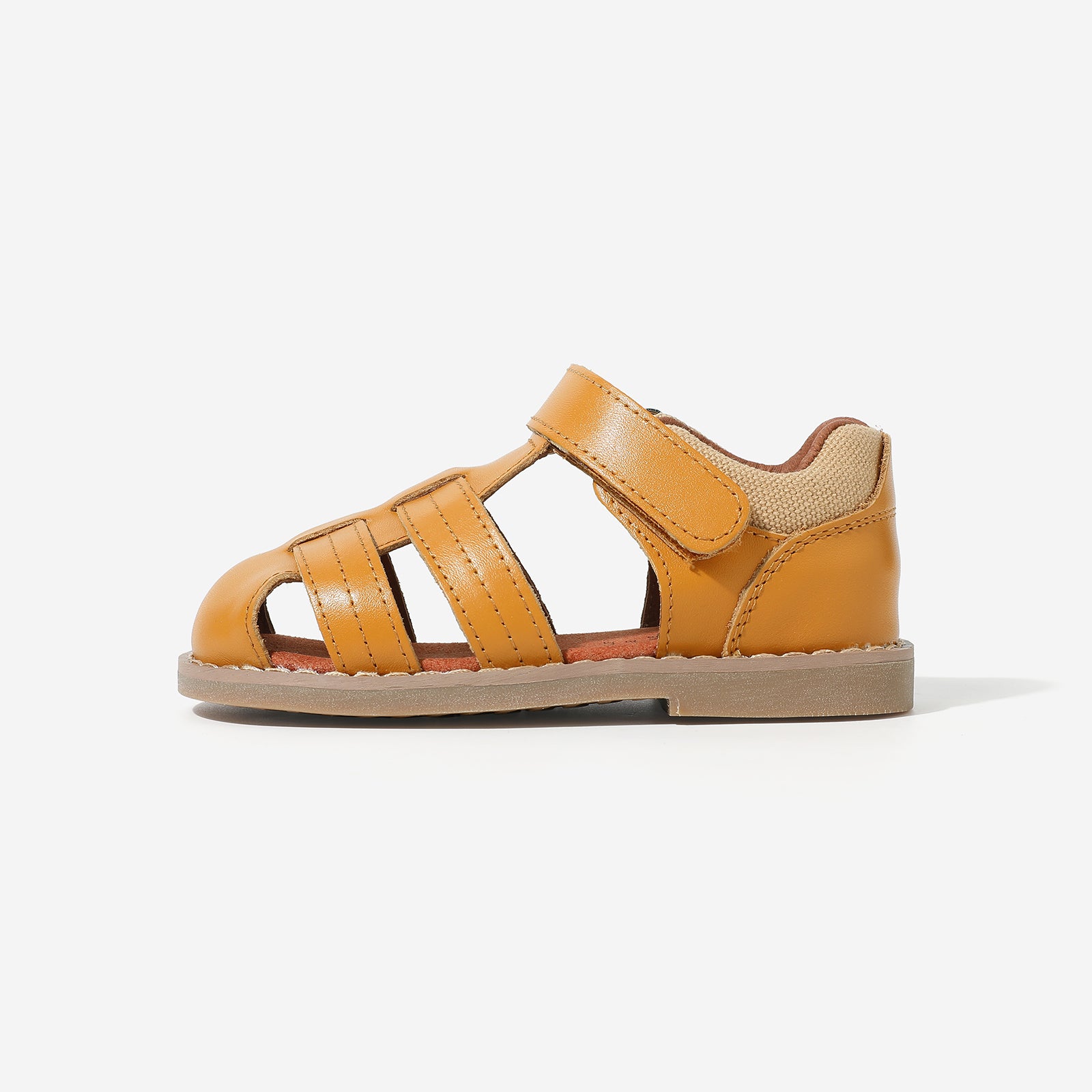 Beetle Gladiator - Coco Brown