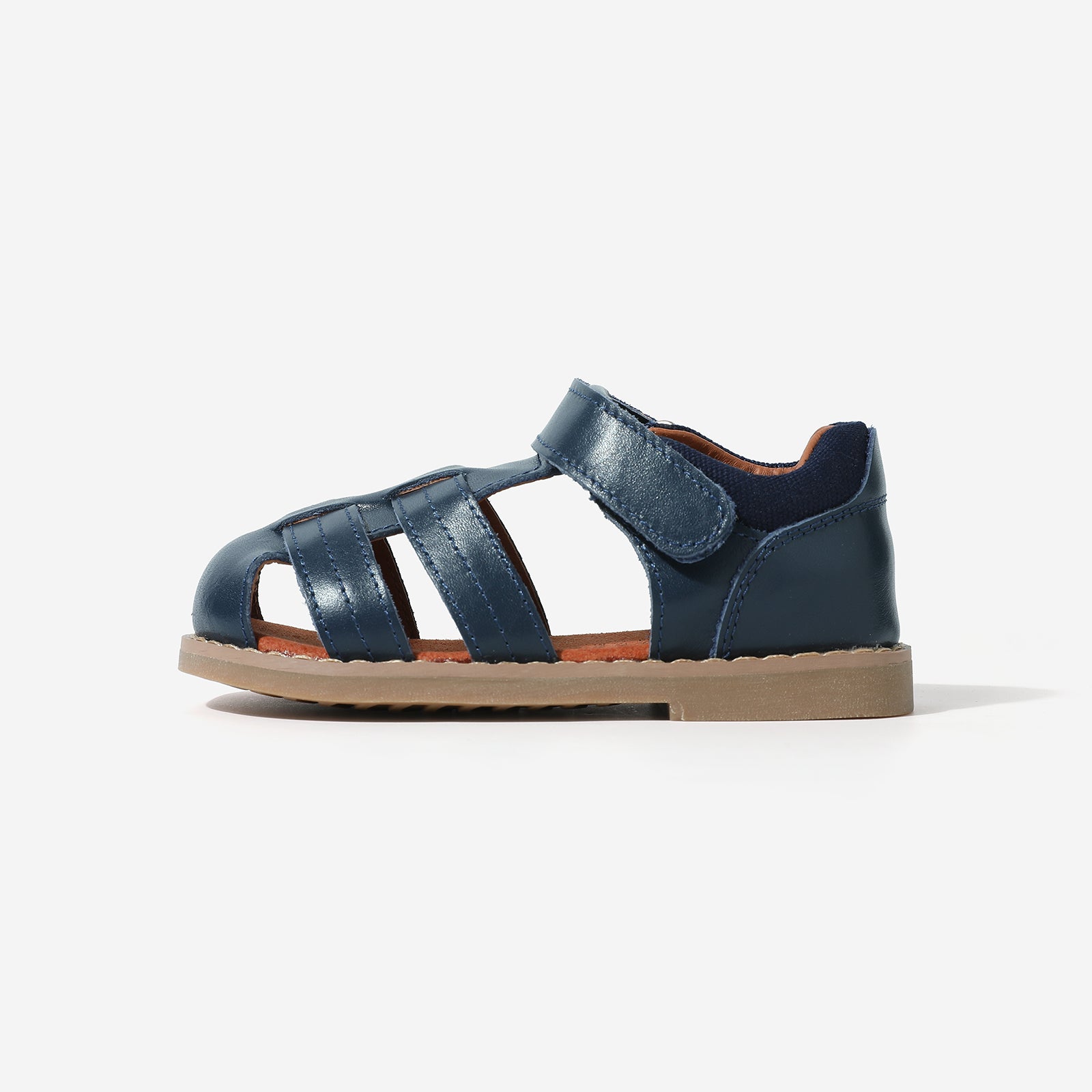 Beetle Gladiator - Dark Blue