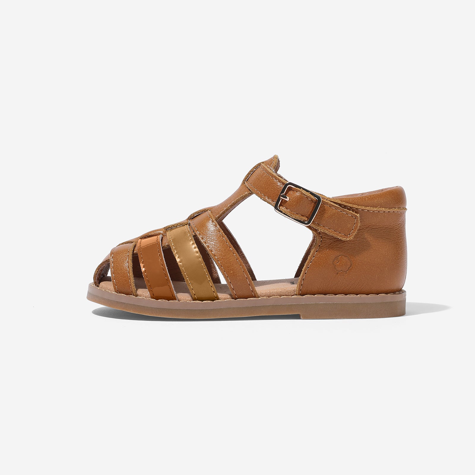 Blender - Chestnut Brown