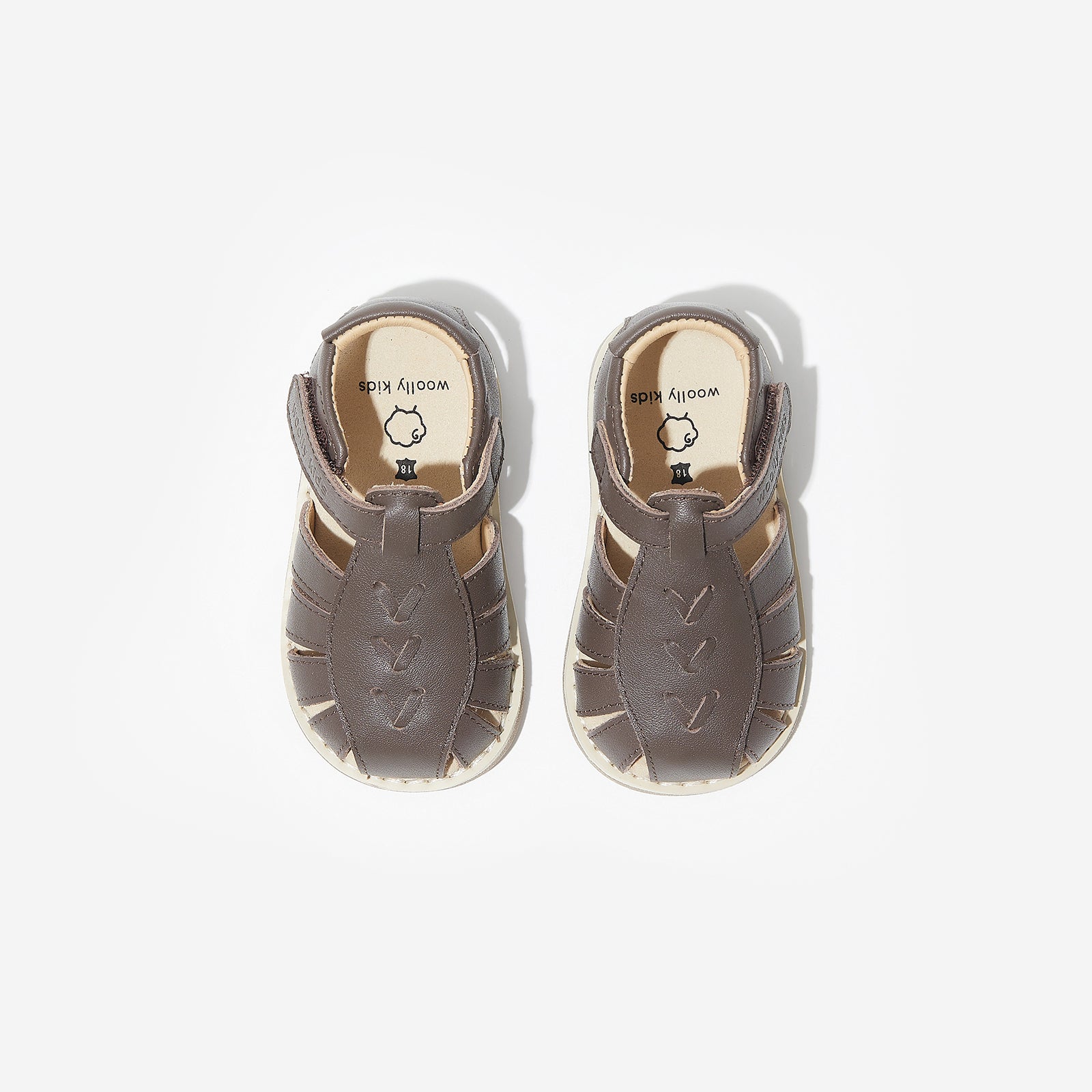 Calla - Coffee Brown