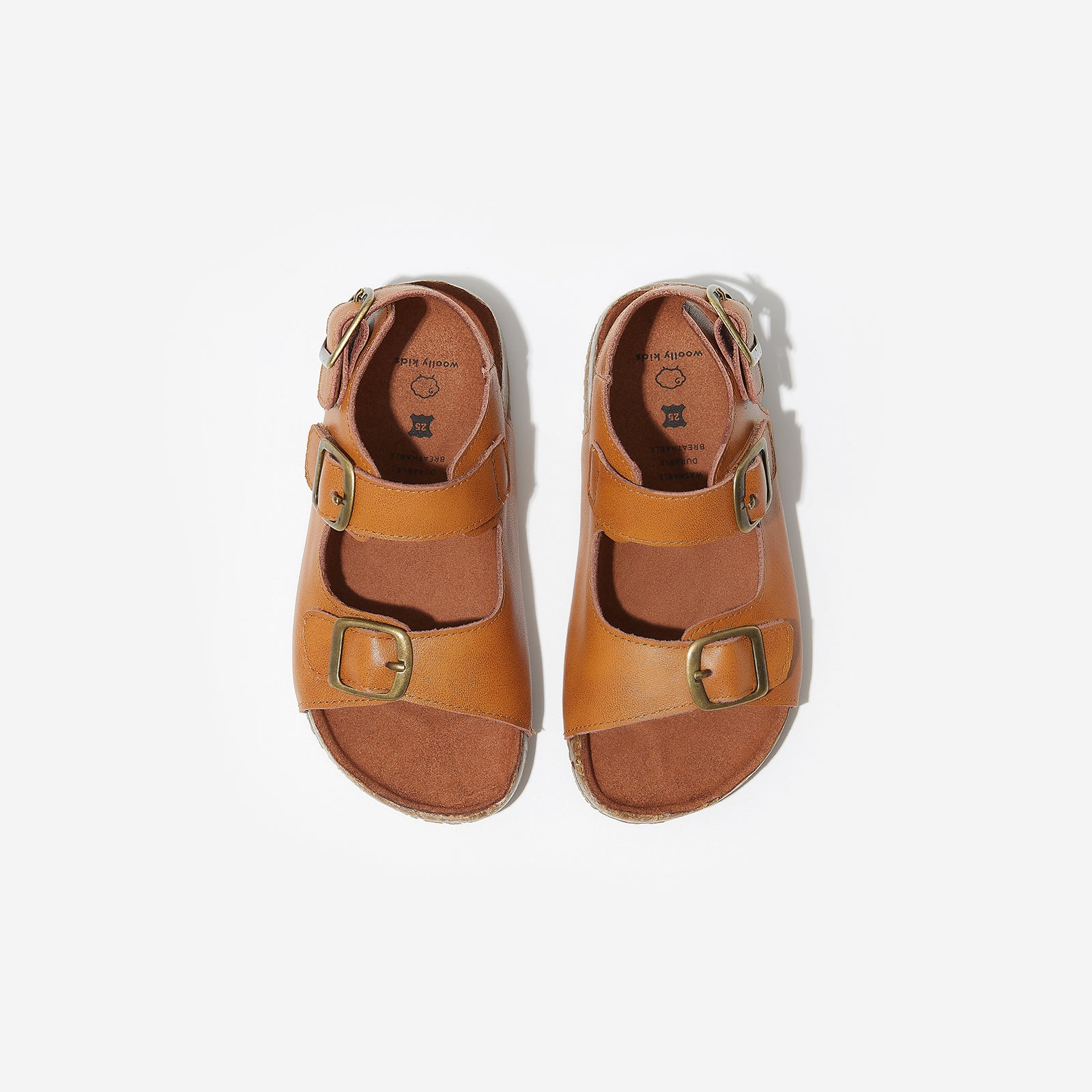 Cloe - Chestnut Brown