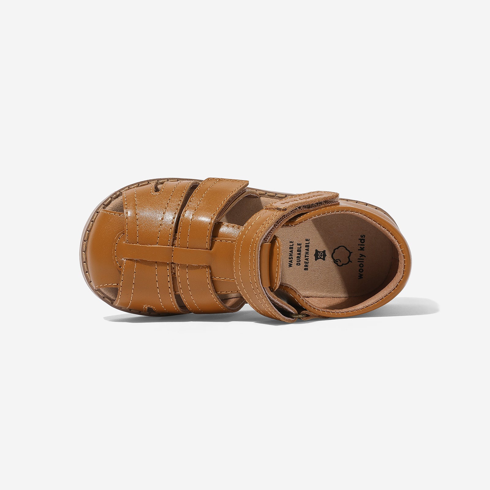 Dragonfly - Chestnut Brown