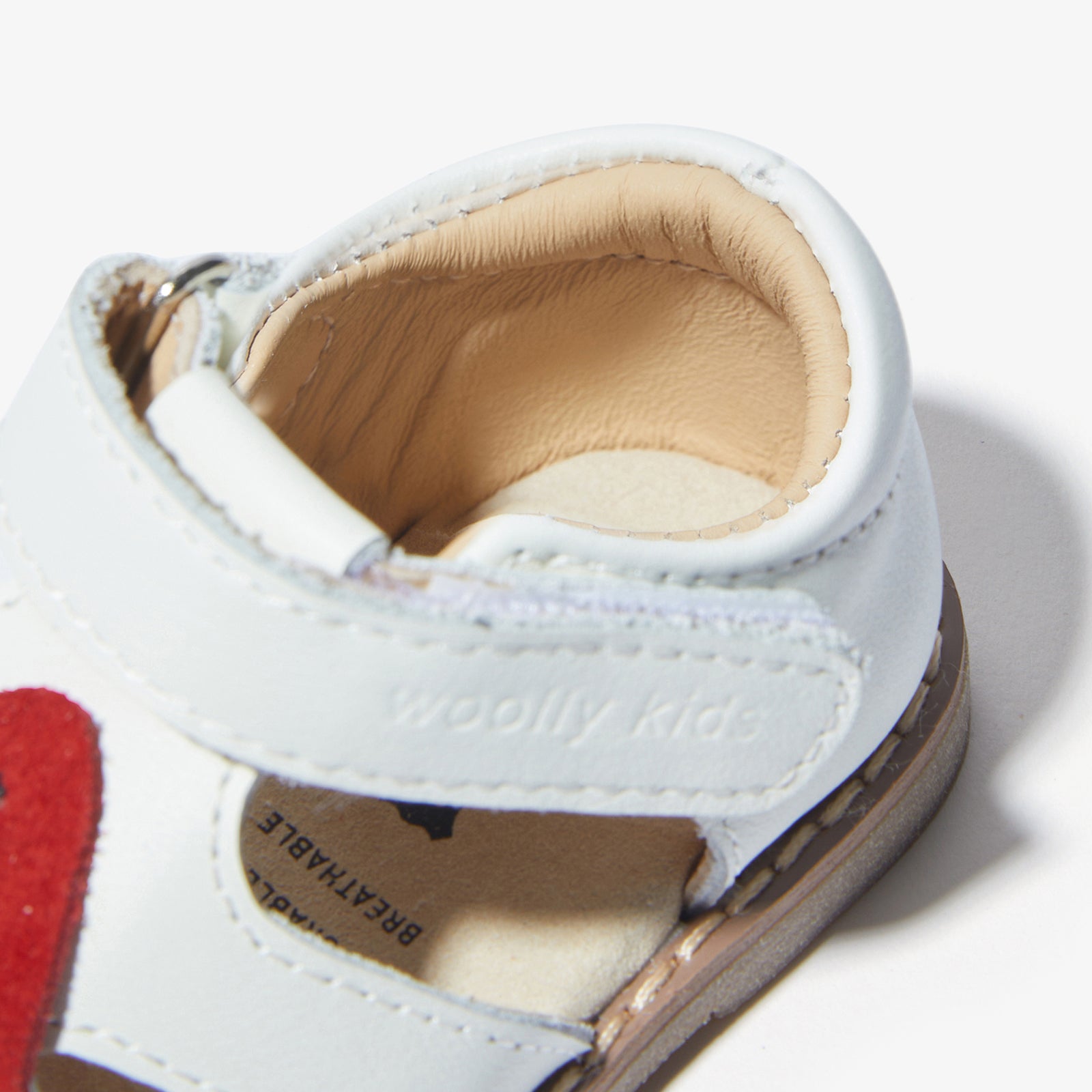 Fruit Party - Watermelon