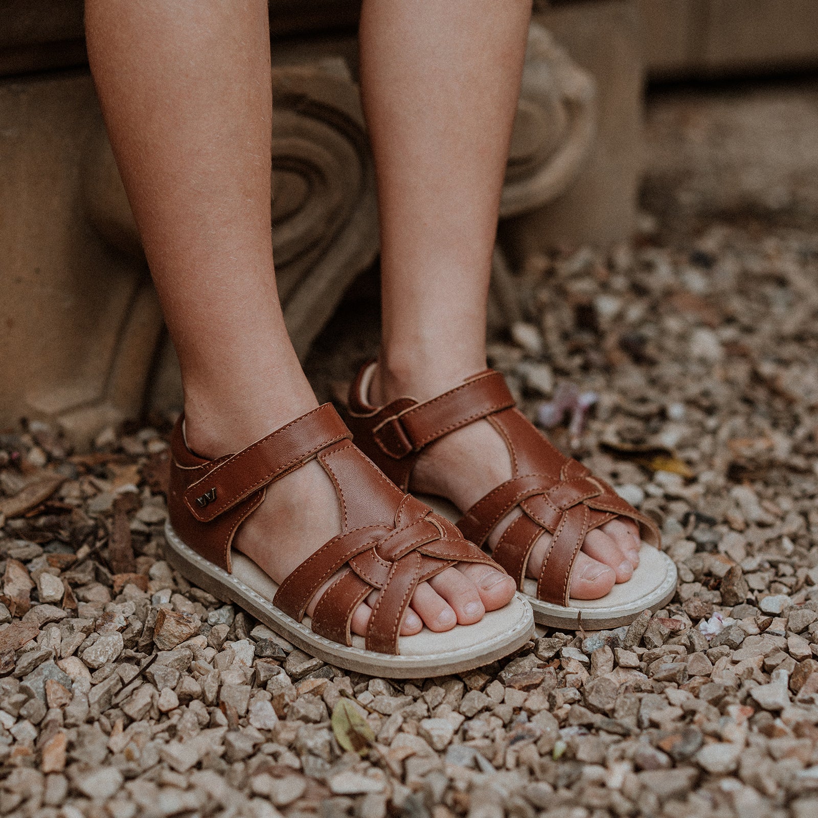 Iris - Latte Brown