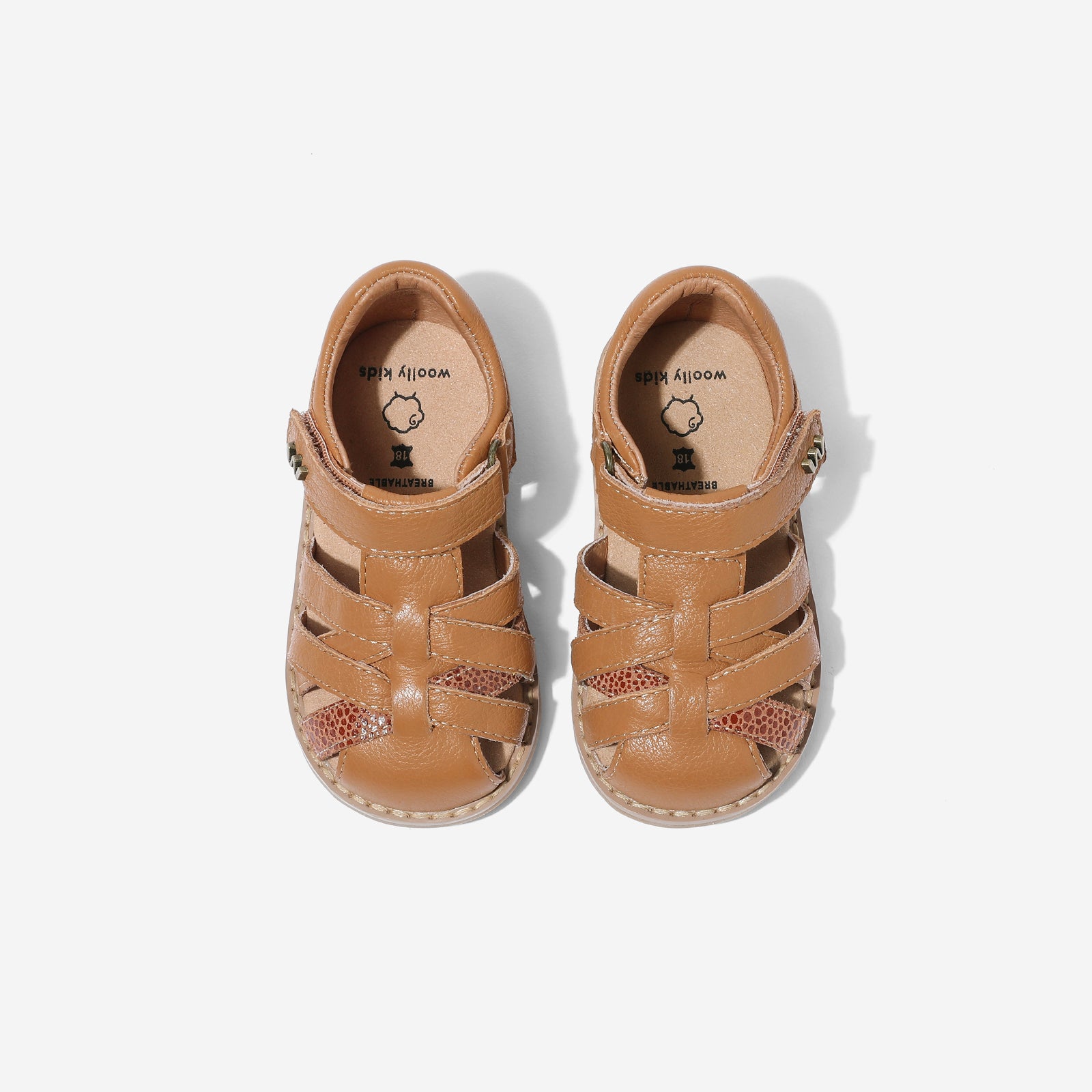 Mini Jessie - Chestnut Brown