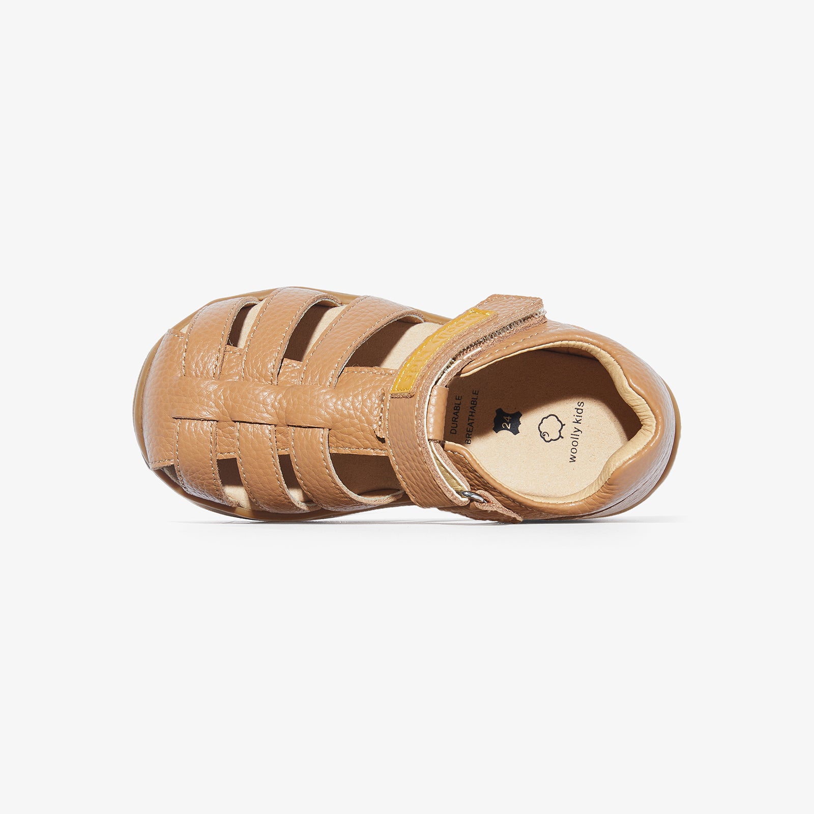 Nick - Chestnut Brown