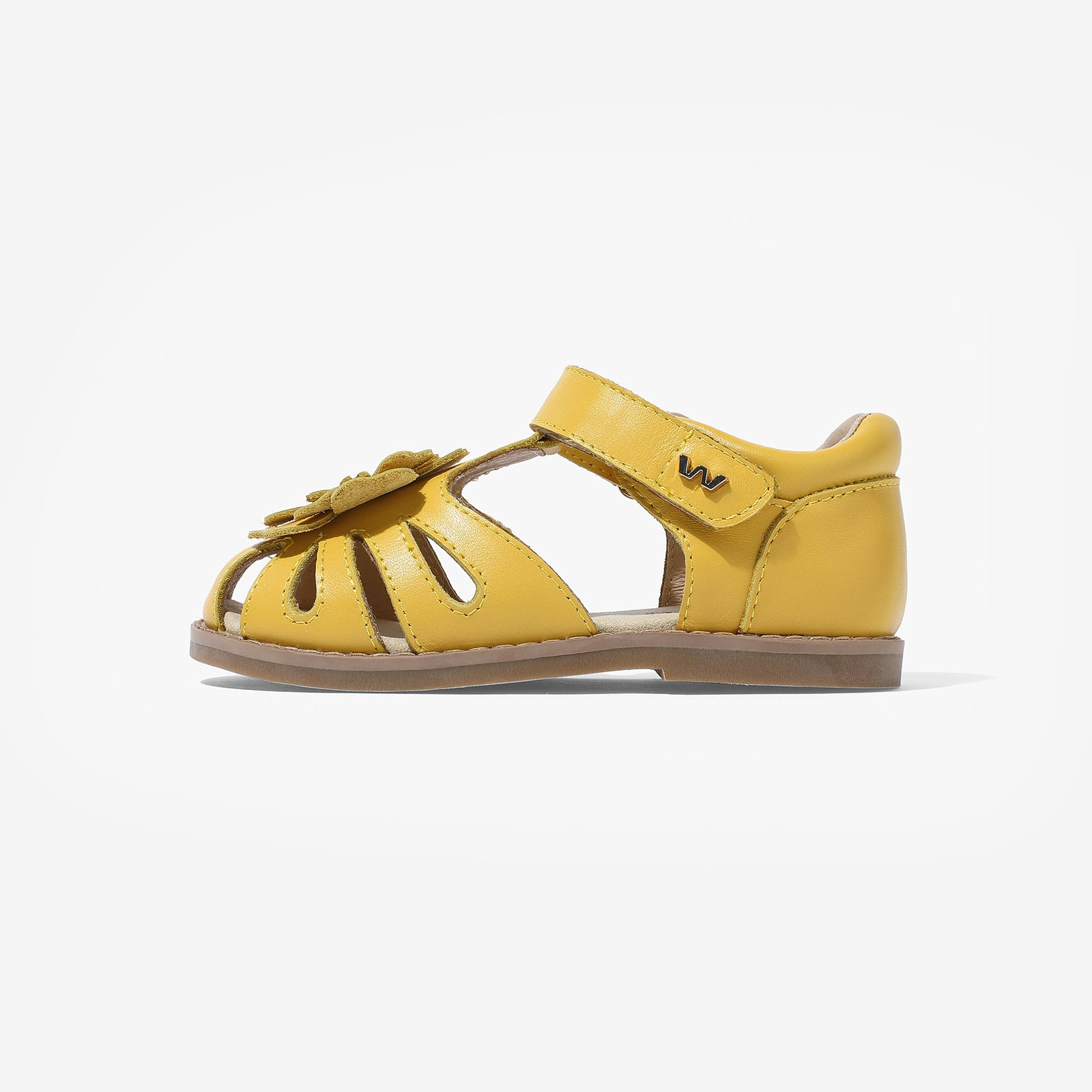 Star Orchid - Sunflower Yellow