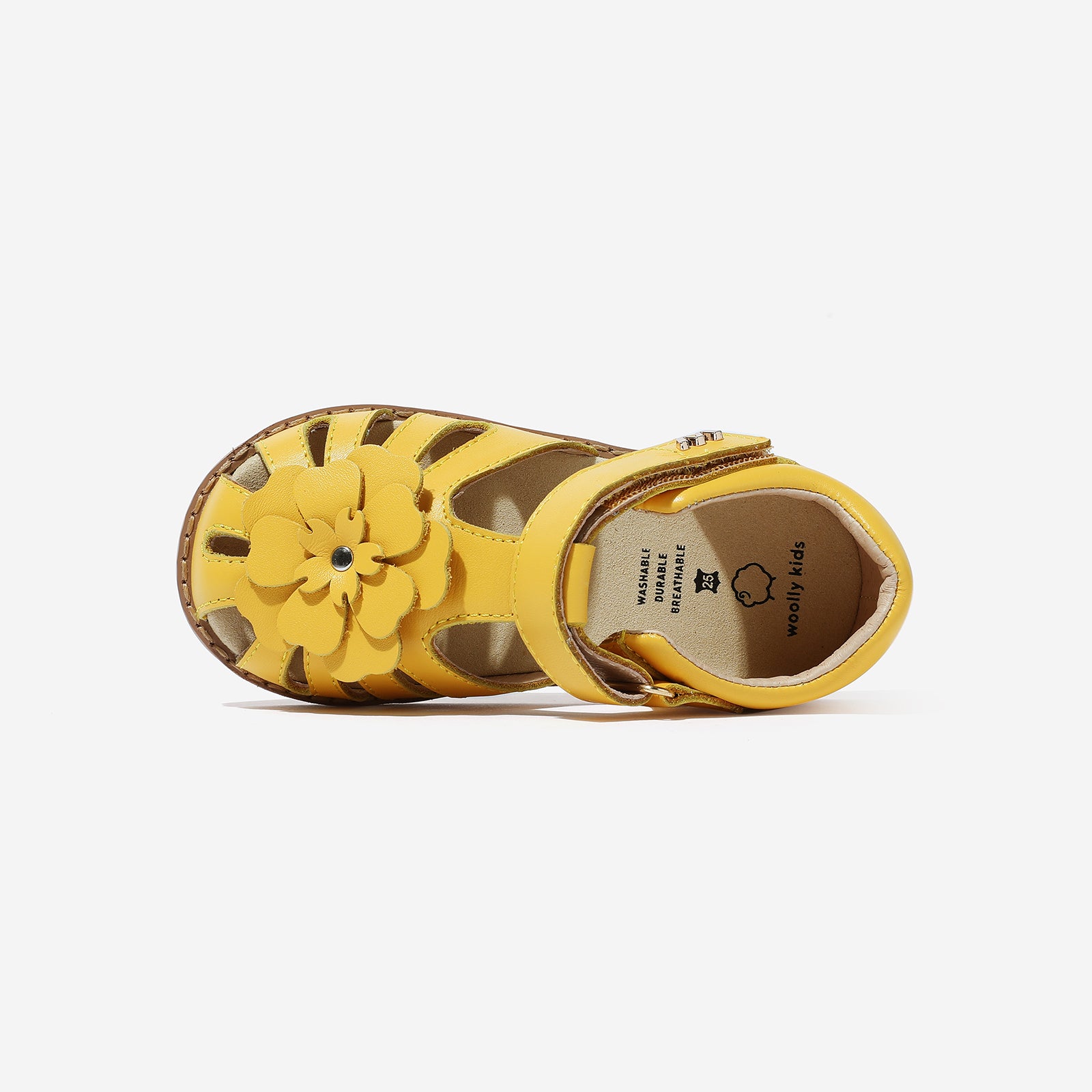 Star Orchid - Sunflower Yellow