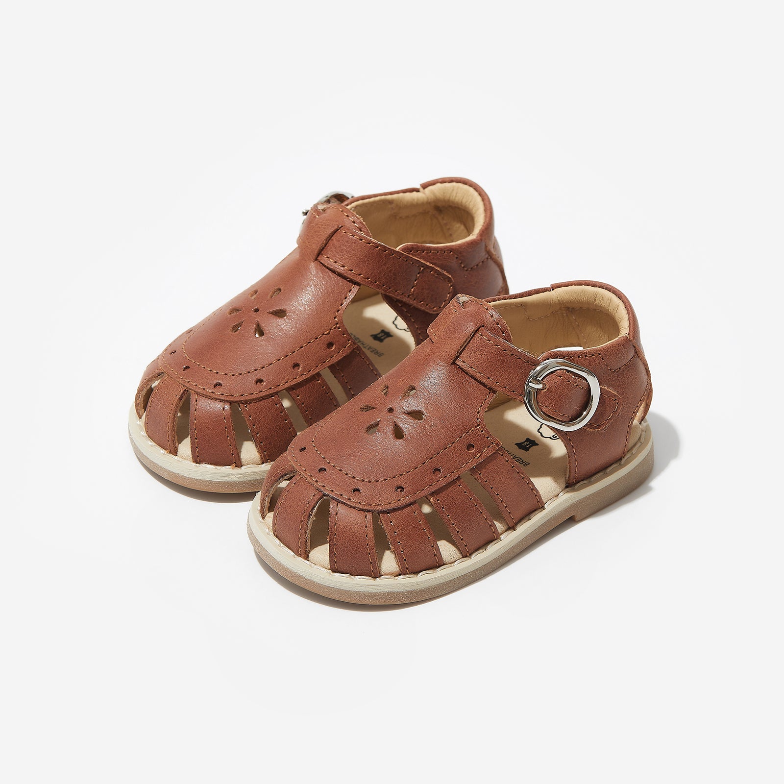 Zinnia - Chestnut Brown