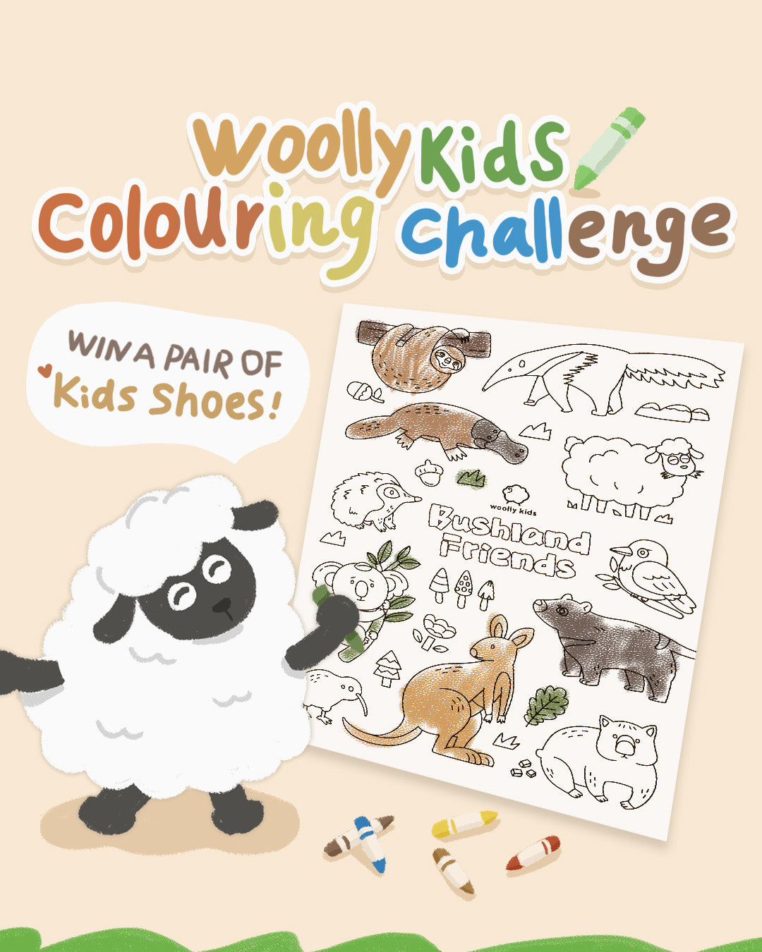 Colouring Challenge