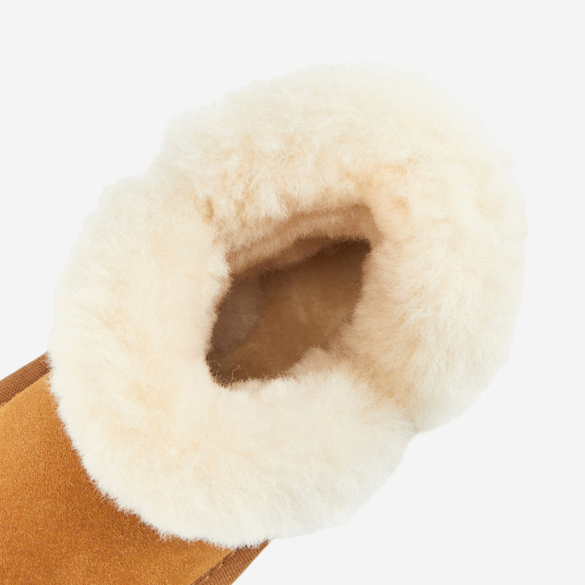 Eln - Chestnut - 3.jpg