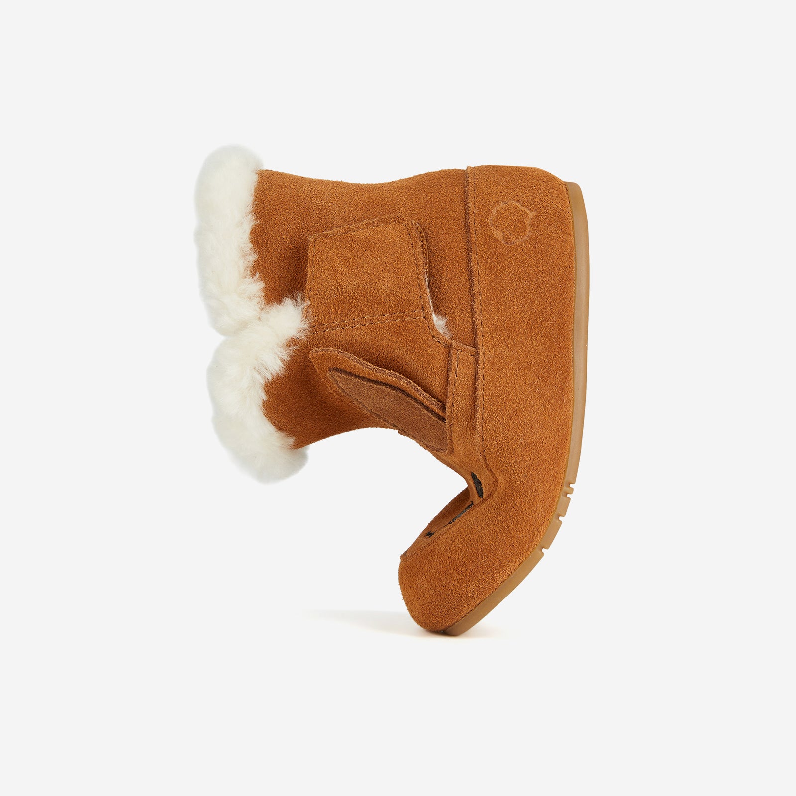 Animal Encounters - Kangaroo Brown