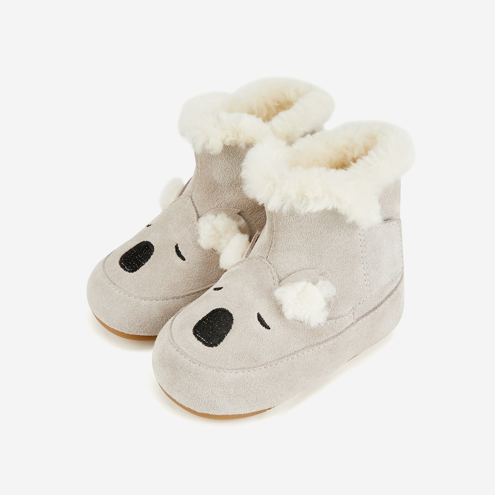 Animal Encounters - Koala Grey