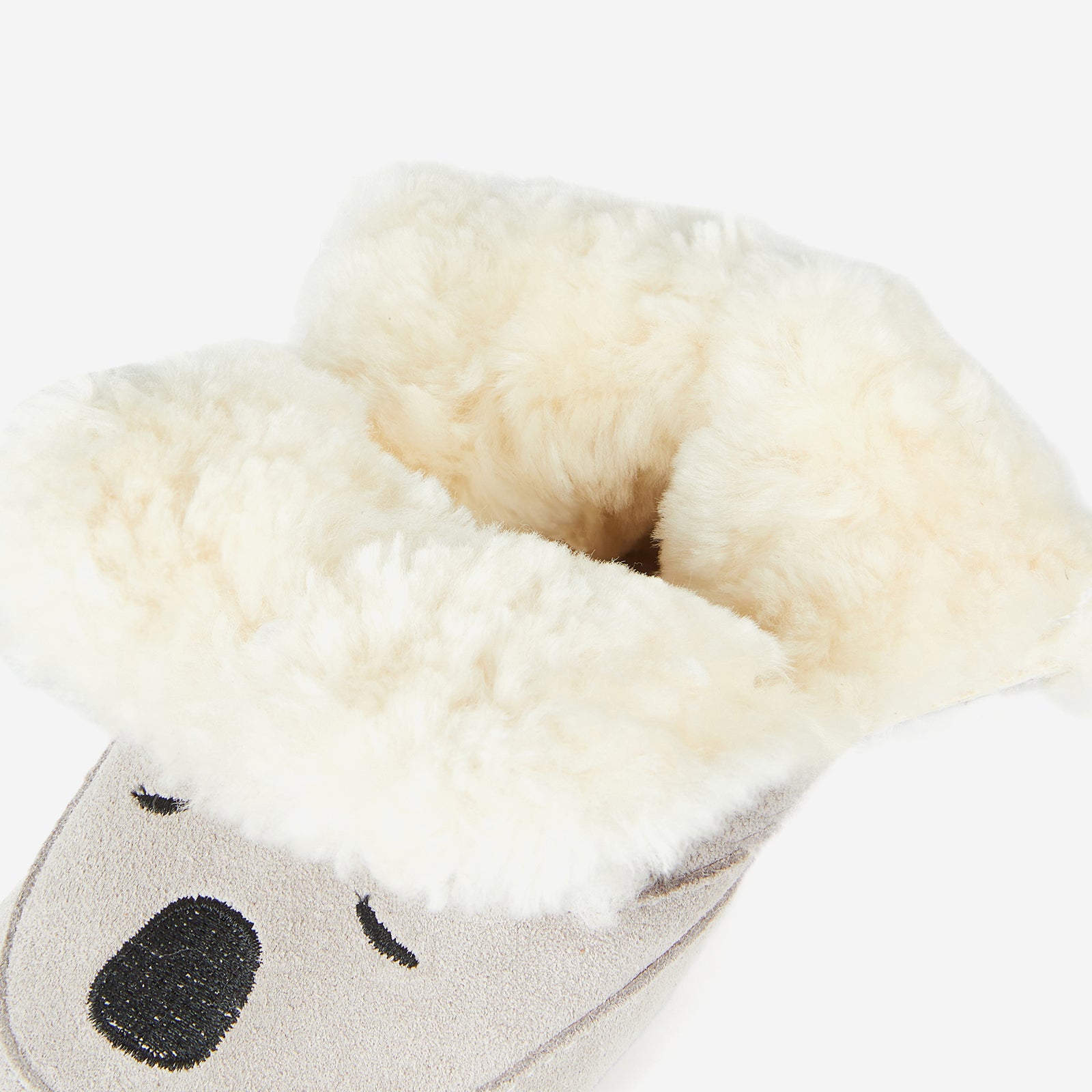 Animal Encounters - Koala Grey