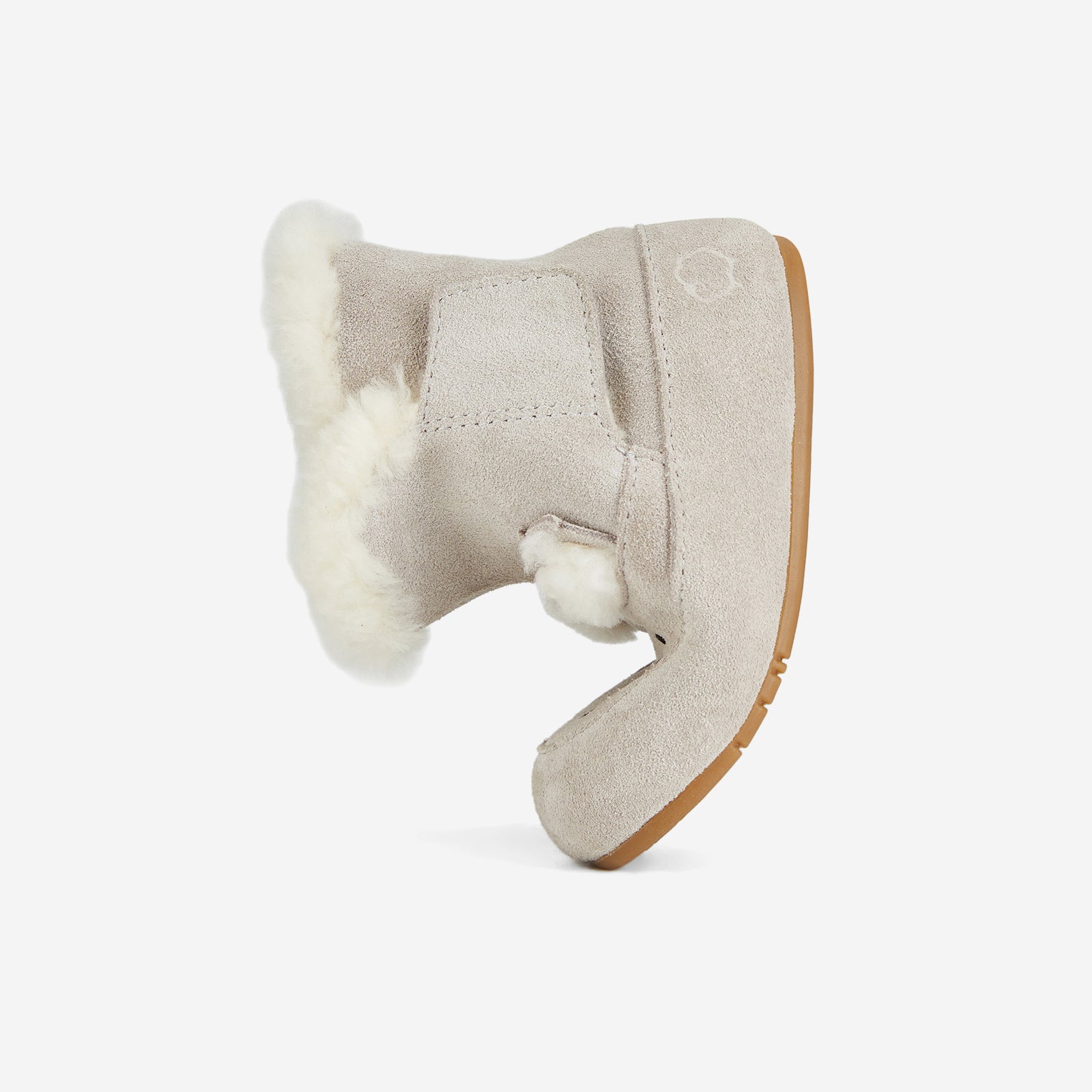 Animal Encounters - Koala Grey