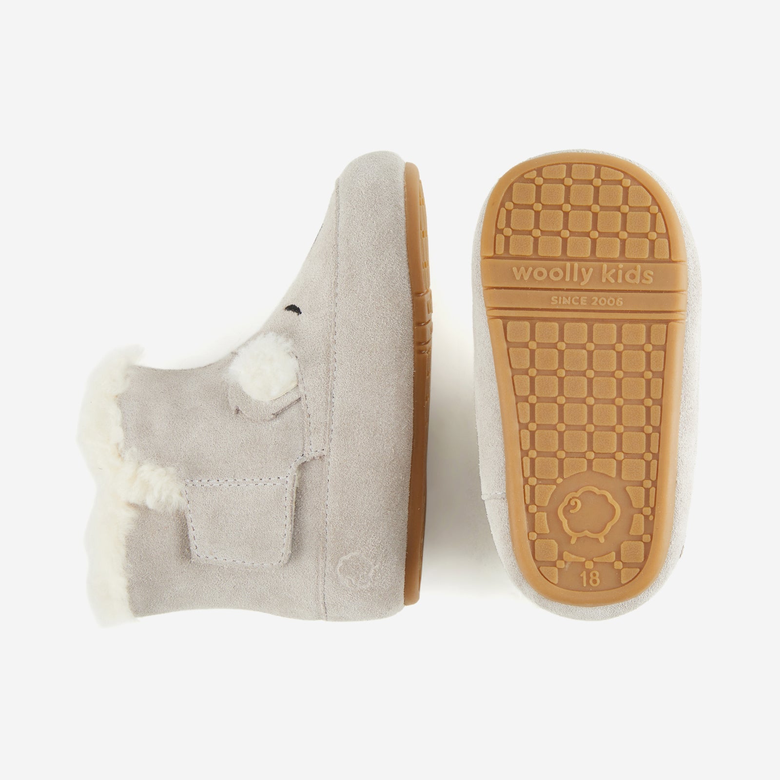 Animal Encounters - Koala Grey