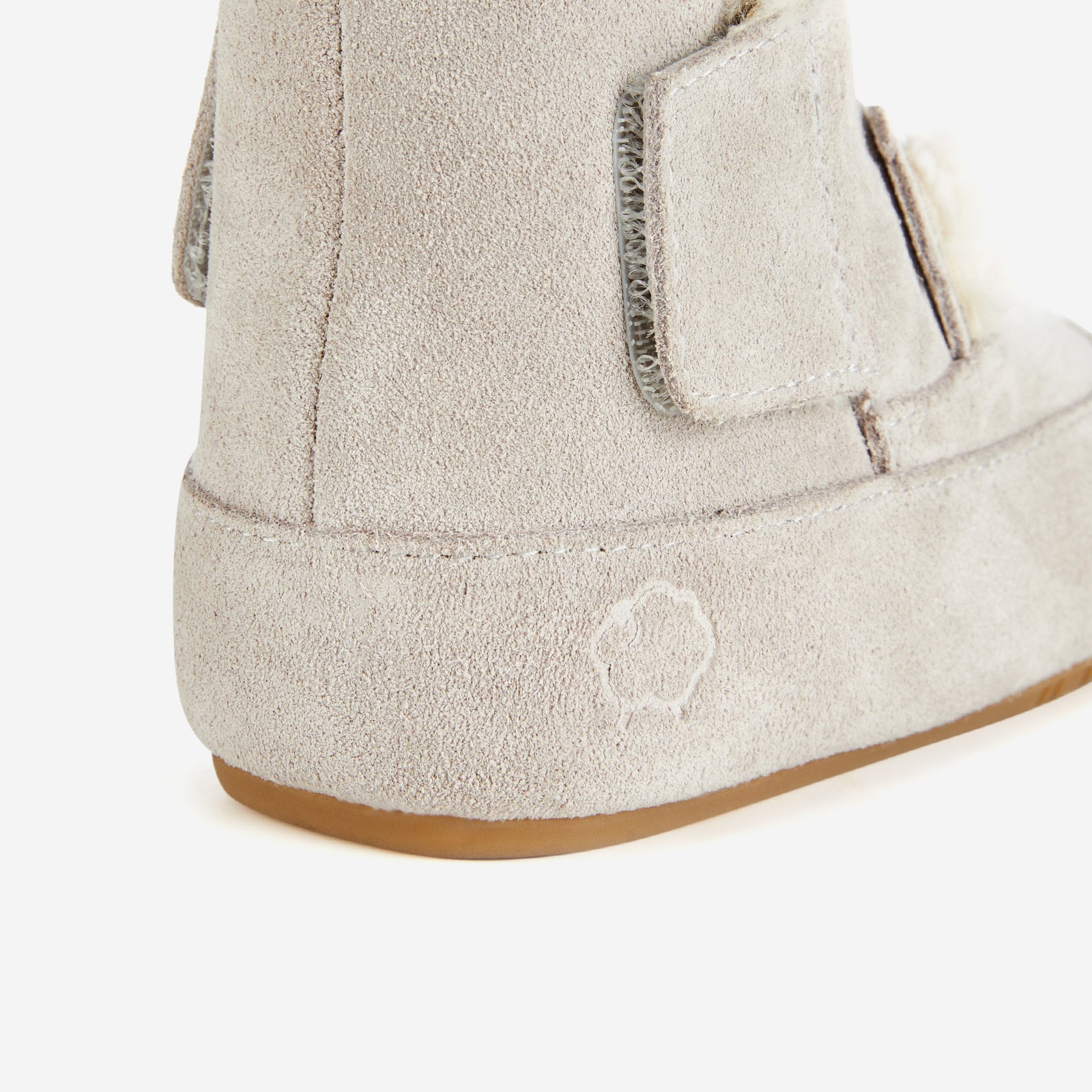 Animal Encounters - Koala Grey