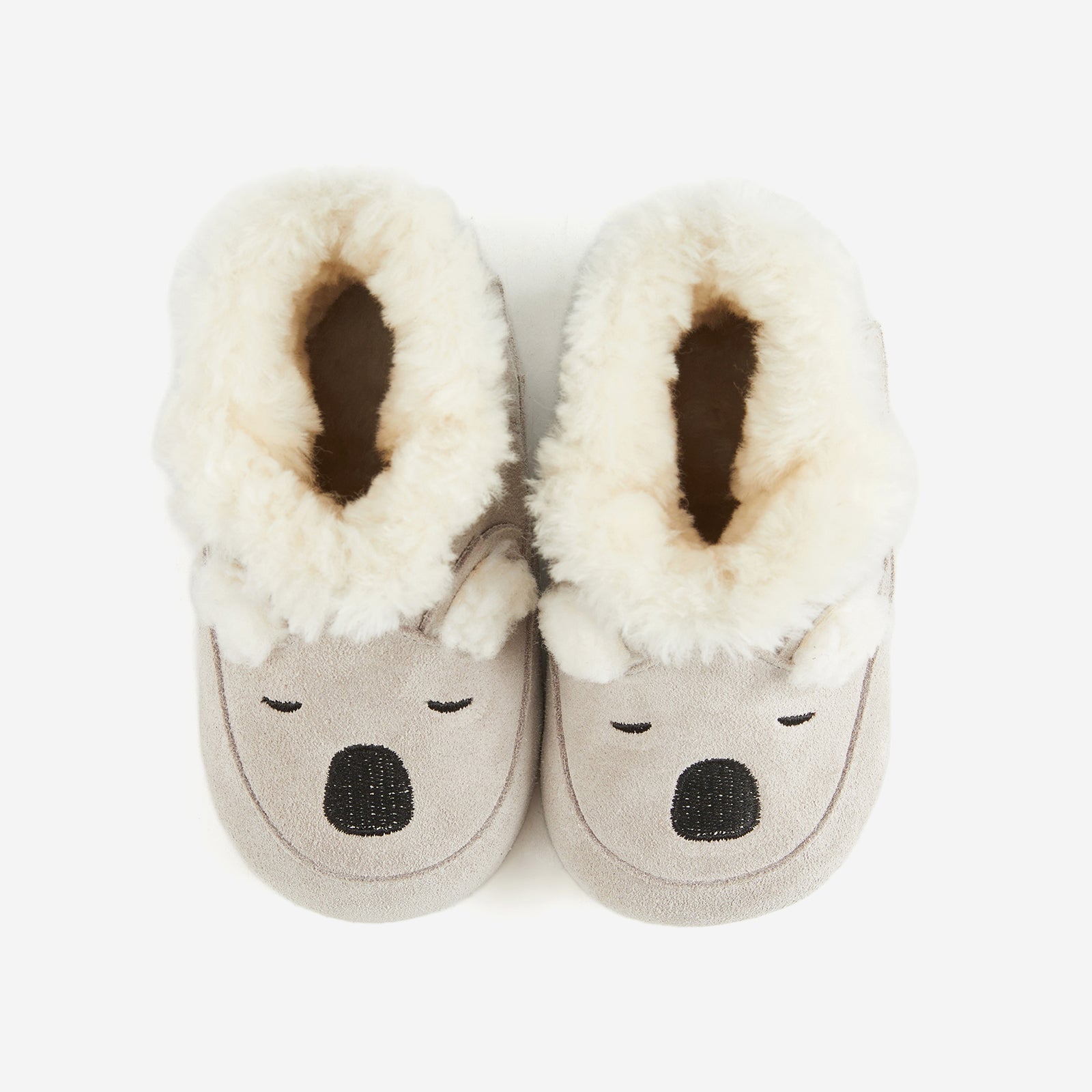 Animal Encounters - Koala Grey