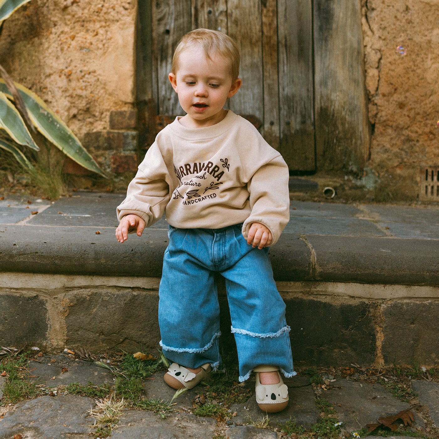 Animal spirits - Koala Grey