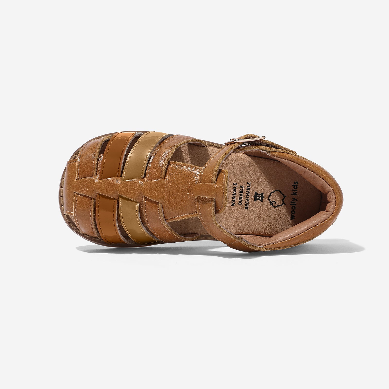 Blender - Chestnut Brown