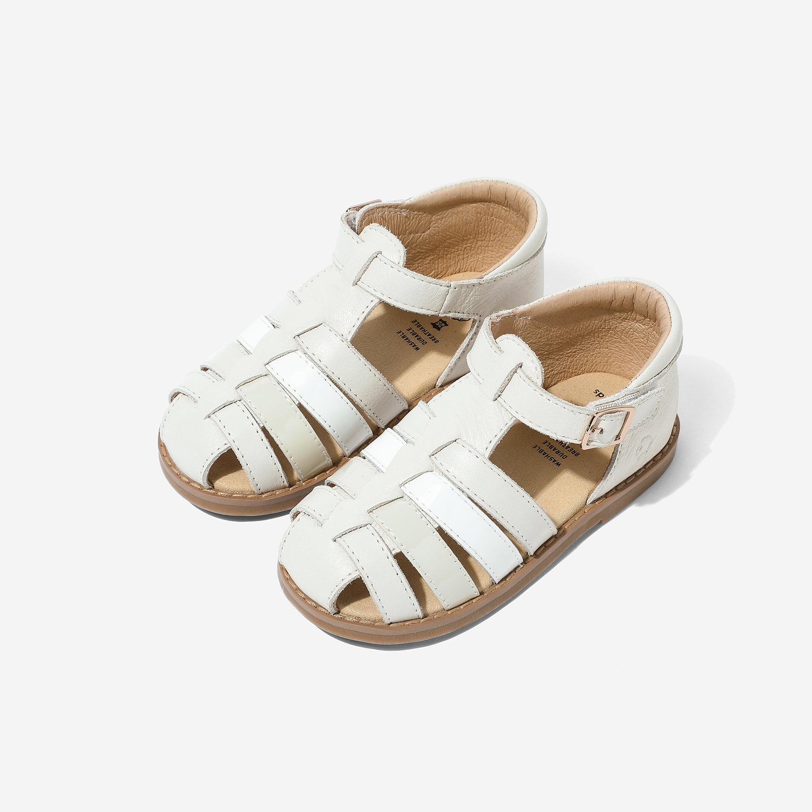 Blender - Ivory White