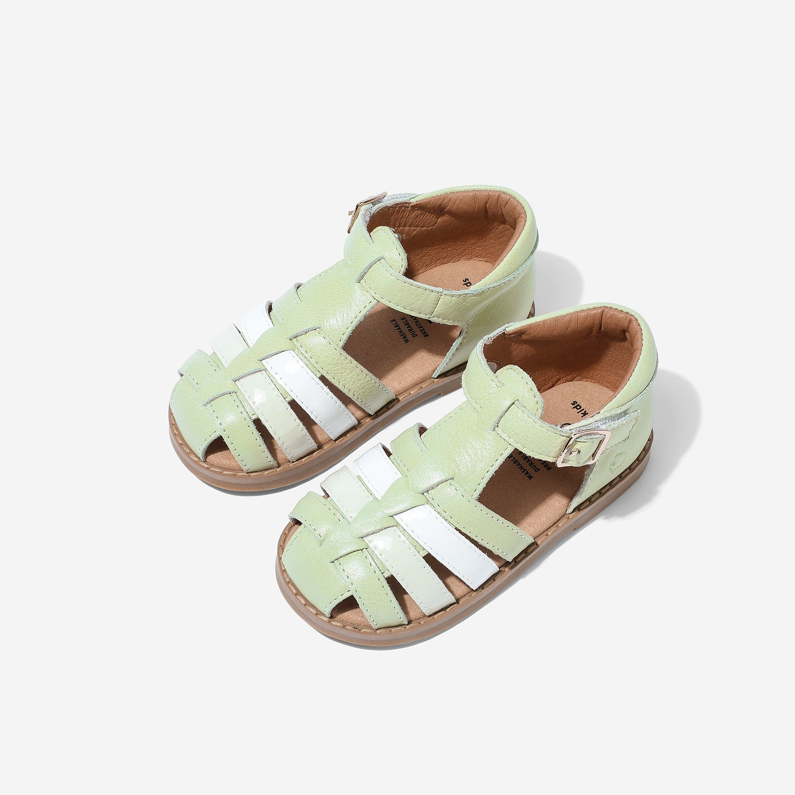 Blender - Peppermint Green