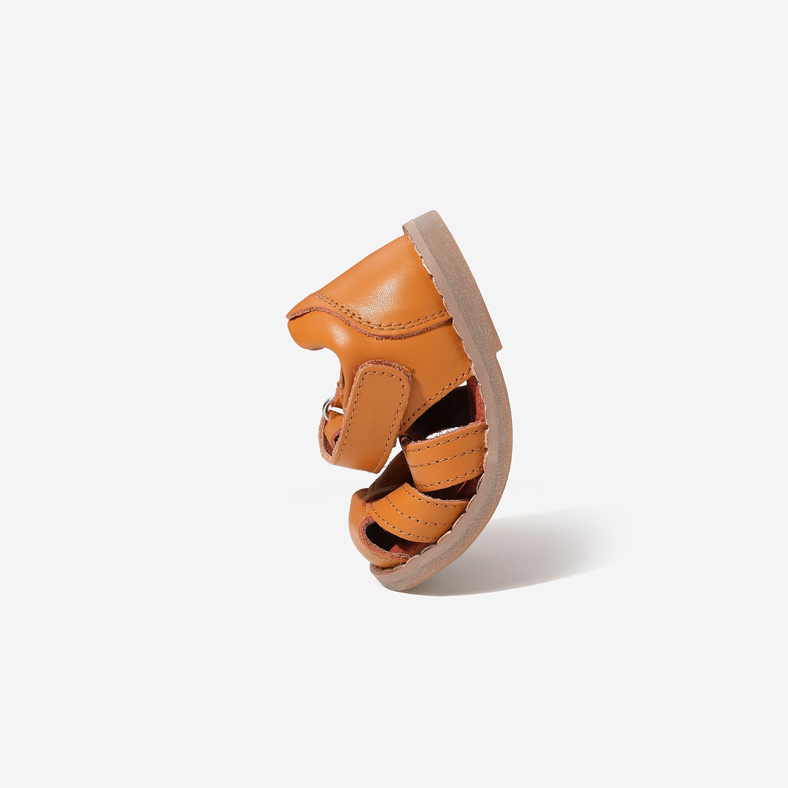 Mini Beetle Gladiator - Cocoa Brown