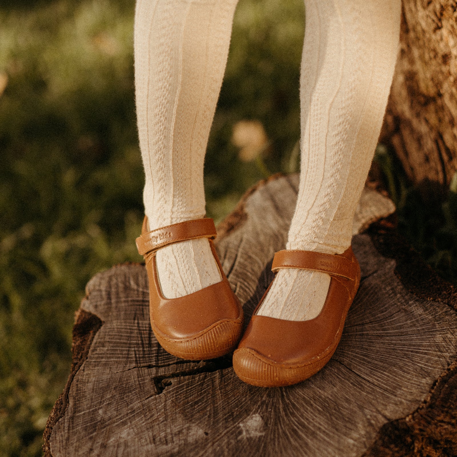 Willow - Acorn Brown